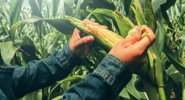 Продукция, ООО «Регионинвестагро» Продукция, фото №17